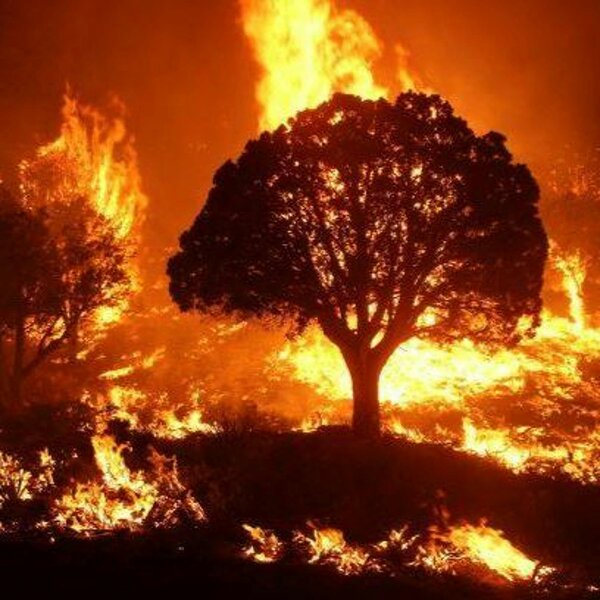 DigitalPath's Ethan Higgins On Using AI to Fight Wildfires - Ep. 211
