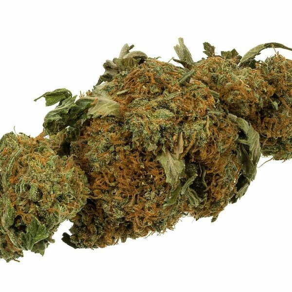 A-High: How Grownetics Automates Cannabis Cultivation with Deep Learning - Ep. 86
