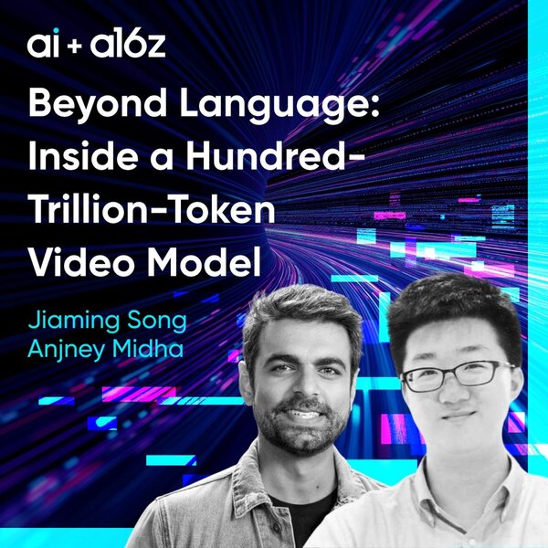 Beyond Language: Inside a Hundred-Trillion-Token Video Model
