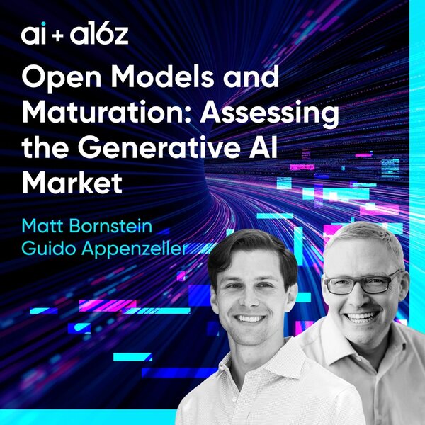 Open Models and Maturation: Assessing the Generative AI Market
