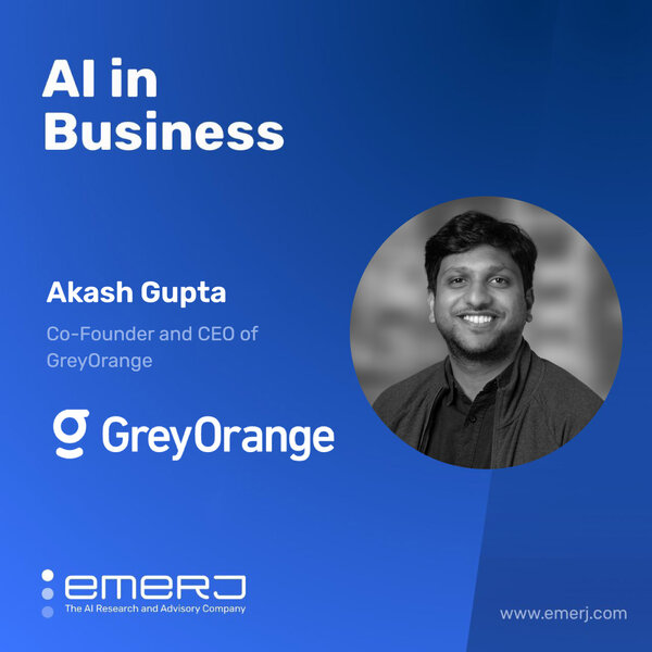 Logistics and Manufacturing Challenges Through the Lens of Data - with Akash Gupta of GreyOrange