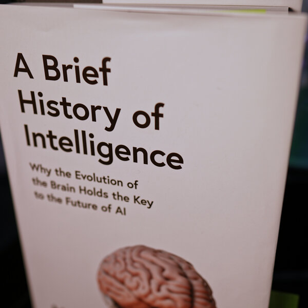 Your Brain is Running a Simulation Right Now [Max Bennett]